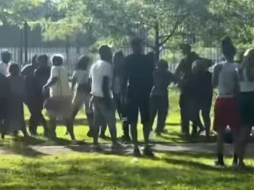 Chicago Police breaks up a large fight inside Washington Park