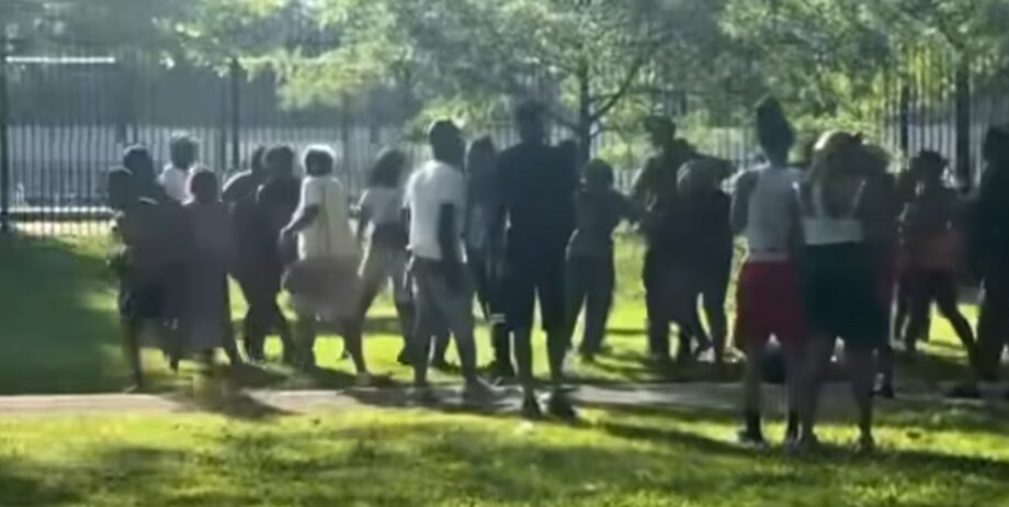 Chicago Police breaks up a large fight inside Washington Park